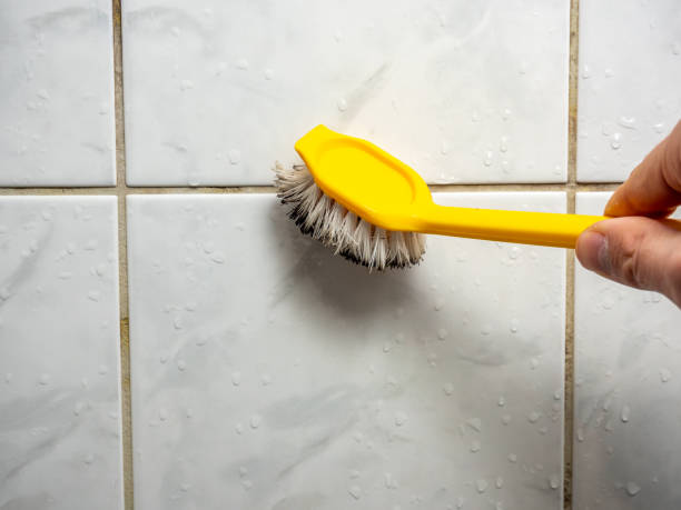 Best Certified Mold Removal  in Wyoming, DE