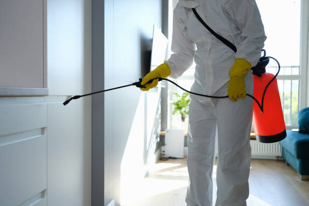 Best Mold Testing  in Wyoming, DE