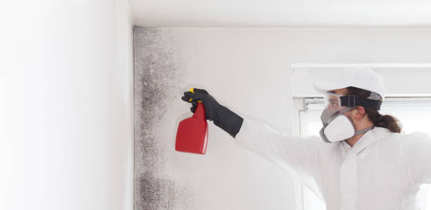 Best Water Damage Restoration  in Wyoming, DE