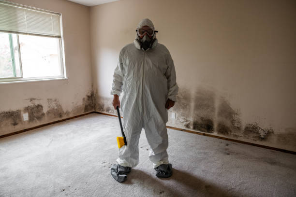 Best Same-Day Mold Removal  in Wyoming, DE