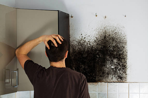 Best Office Mold Removal Services  in Wyoming, DE